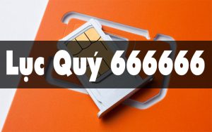 Sim Lục Quý FPT 0775 666666